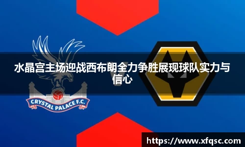 水晶宫主场迎战西布朗全力争胜展现球队实力与信心